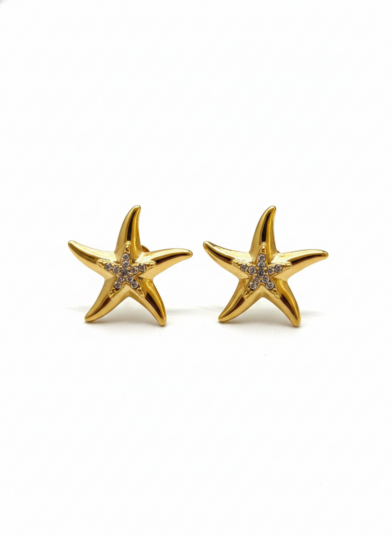 Ocean Tresure earrings