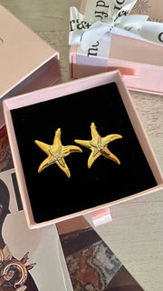 Ocean Tresure earrings